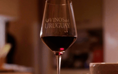 210 viñedos y 28 bodegas fueron certificadas por el programa de viticultura sostenible del Inavi.