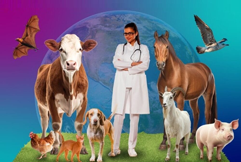 Día Mundial de las Zoonosis. La importancia de Una Sola Salud.