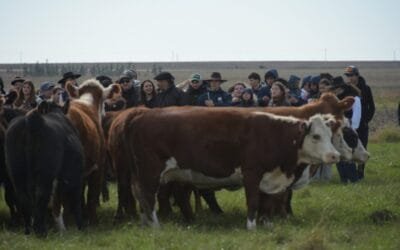El centro Mario Azzarini en Salto recibió a más de 200 estudiantes en una actividad organizada por el SUL y UTU.
