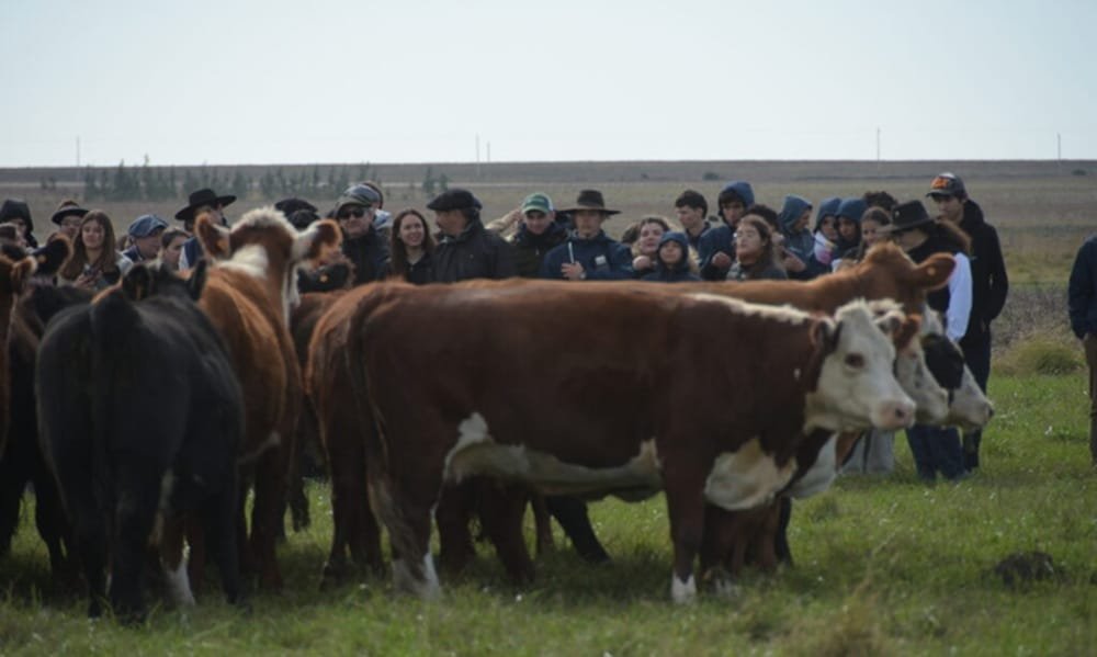 El centro Mario Azzarini en Salto recibió a más de 200 estudiantes en una actividad organizada por el SUL y UTU.