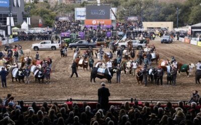 Milei anunció reducción de las retenciones y aseguró que será permanente.