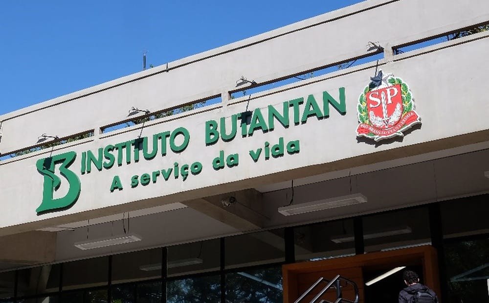 Brasil probará vacuna contra la gripe aviar en humanos.