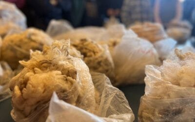 De Paula: “La esquila es un trabajo zafral que se paga muy bien”.