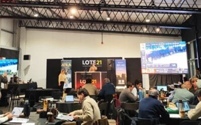 Lote 21 con muy buena colocación y valores al alza.