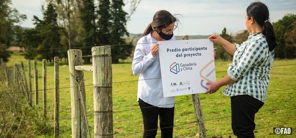 Se realiza la segunda Cumbre sobre los Sistemas Alimentarios de las Naciones Unidas.