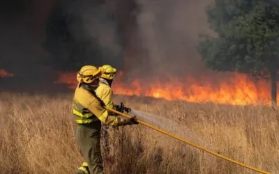 España y los incendios: los cambios que seguirán cuando se apaguen las llamas.