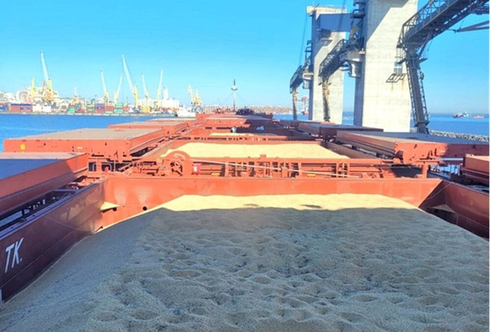 El puerto de Montevideo con un registro histórico en el volumen de graneles.