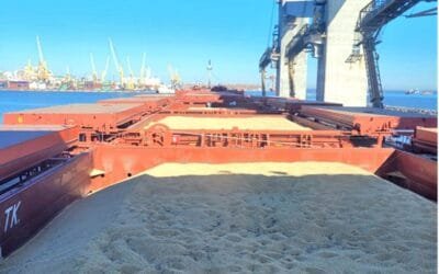 El puerto de Montevideo con un registro histórico en el volumen de graneles.