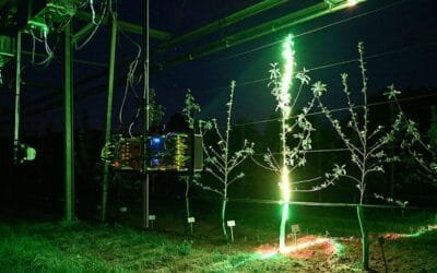 Ahora los robots de cosecha son más inteligentes.