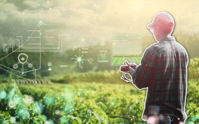 Inteligencia artificial en la agricultura: herramienta aliada, no varita mágica.