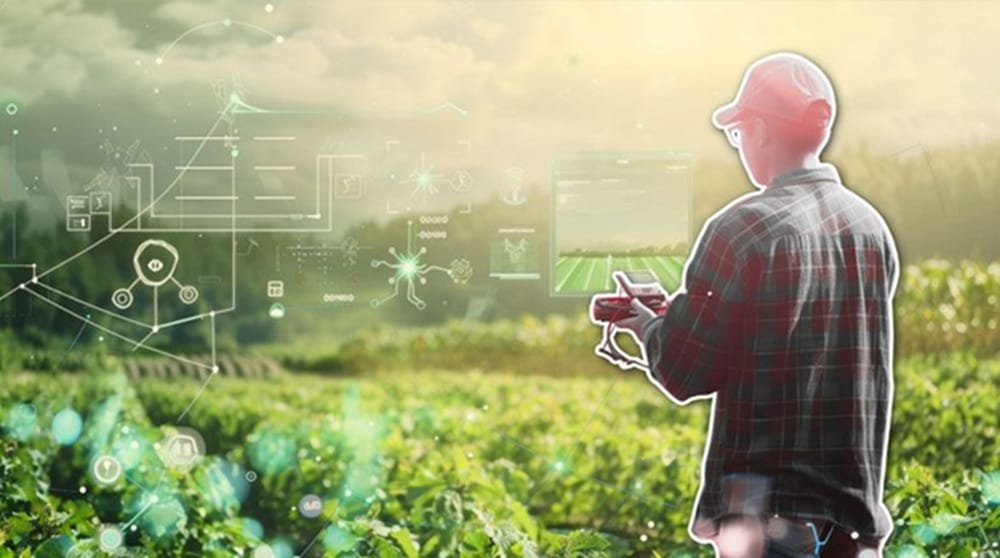 Inteligencia artificial en la agricultura: herramienta aliada, no varita mágica.