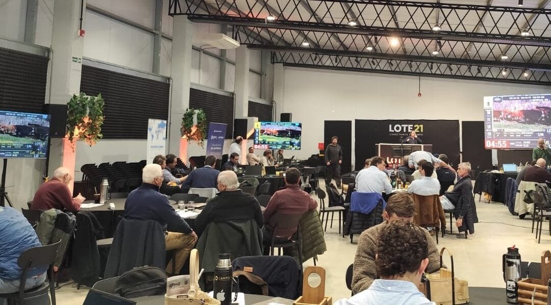 Alta colocación de Lote 21: el 98,1% de la oferta.