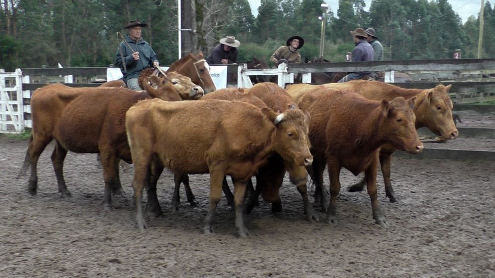 Montero & Fernández: destacados los valores en el Campanero.