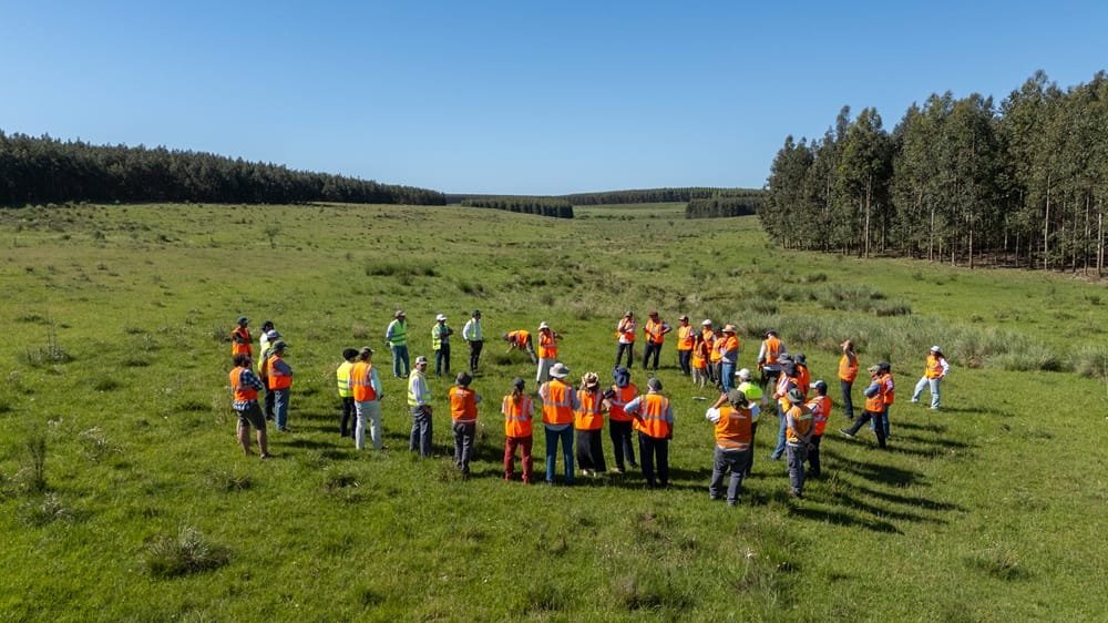 Montes del Plata y Supra impulsan pastoreo racional en predios forestales.