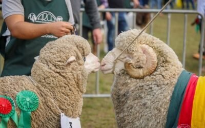 Uruguay proyecta su potencial agroindustrial en Expointer.