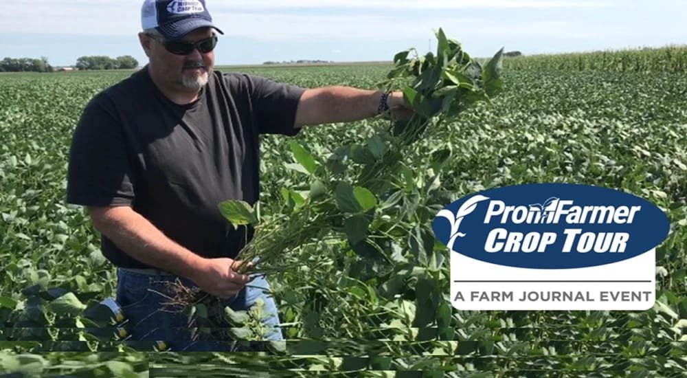 Pro Farmer confirma rendimientos altos. La política hace de las suyas.