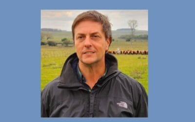 “La exportación en pie ha demostrado que sirve”.