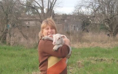 En Uruguay “no se está aprovechando todo el potencial” de la Frisona, excelente madre y productora de leche y carne.