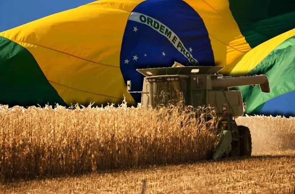 Aumenta la cosecha de granos en Brasil.