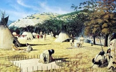 Desde tiempos de los apaches: manejo de incendios forestales según anillos de los árboles.