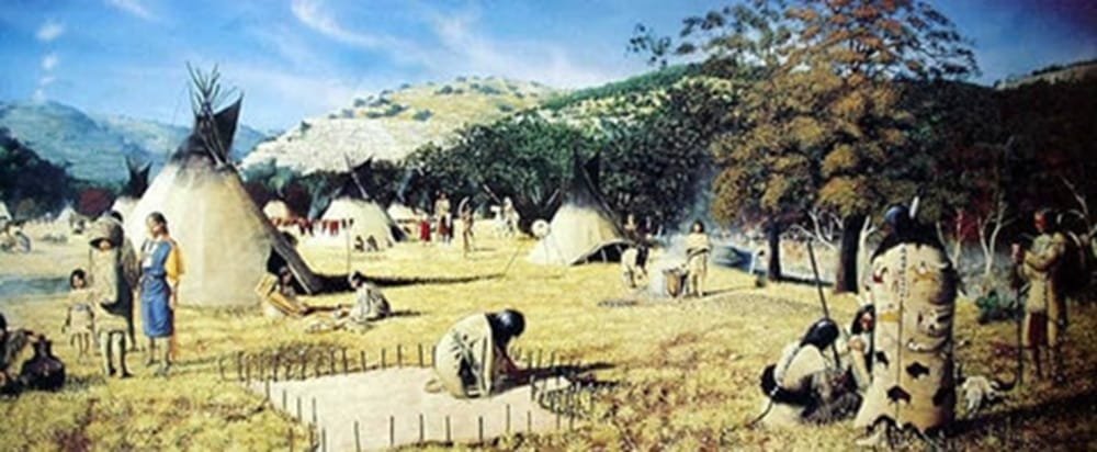 Desde tiempos de los apaches: manejo de incendios forestales según anillos de los árboles.