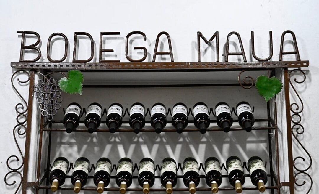 Enoturismo y turismo rural, entre las propuestas con que Uruguay tienta a Brasil.