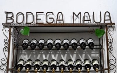 Enoturismo y turismo rural, entre las propuestas con que Uruguay tienta a Brasil.