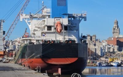 Puerto de Montevideo: 150 camiones registran pérdidas por US$ 750.000