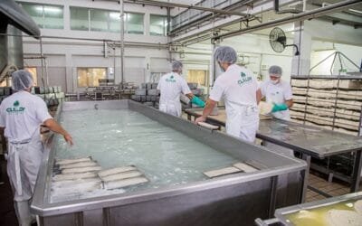 Productores de Claldy respaldan reestructura de la empresa con foco en la viabilidad futura