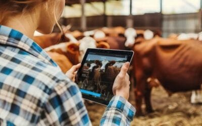 UPIC pone el foco en aplicación de tecnología y la rentabilidad del negocio.