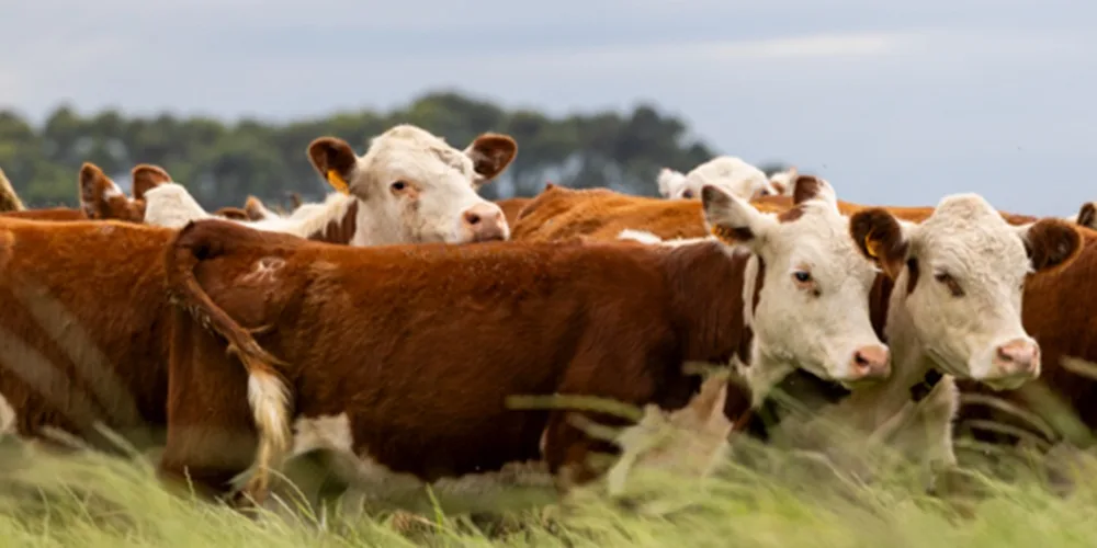INAC en la Expo Activa: invita a reflexionar sobre el uso responsable de productos veterinarios.