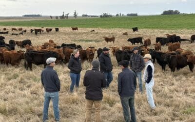 Pasture Genetics realizó gira con técnica australiana sobre pasturas perennes en ambientes transicionales.