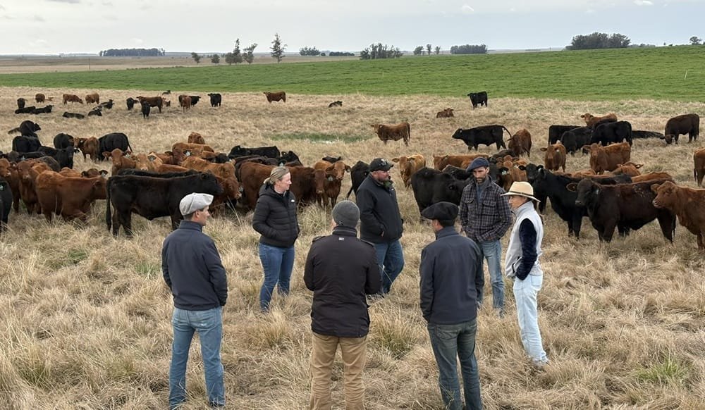 Pasture Genetics realizó gira con técnica australiana sobre pasturas perennes en ambientes transicionales.