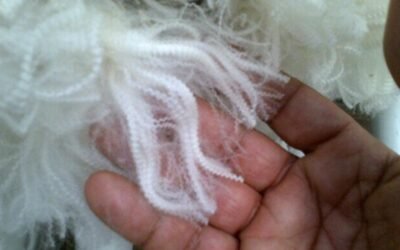 Lana fina tiene un mercado pujante que Uruguay debe explorar.