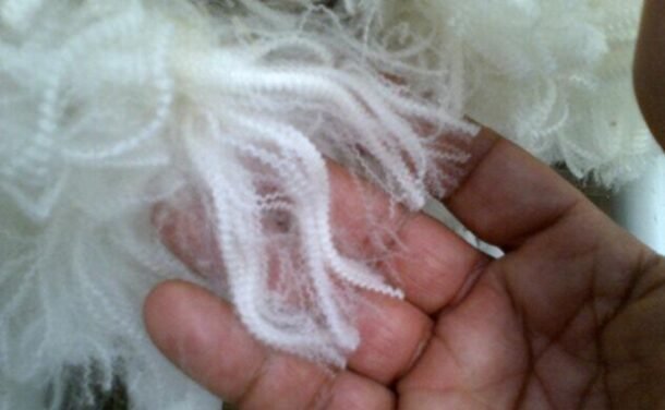 El Indicador del Mercado del Este rompe la barrera de los US$ 13 y marca un récord en 7 años