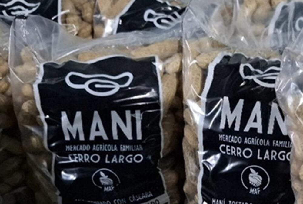 Mas del 90% del maní que se consume en Uruguay es importado; productores de Cerro Largo apuntan a revertir esa situación.