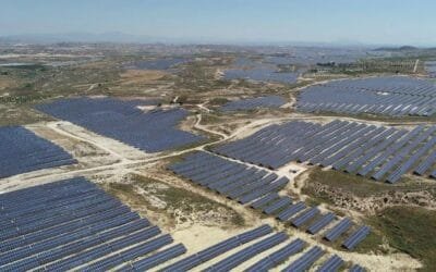 España. Denuncian megaplantas solares por dañar potencial agrícola de alto valor productivo.