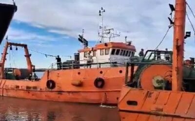 La pesca vuelve a trabajar, zarparán “al menos una docena de barcos”.