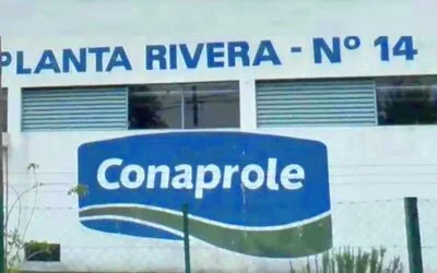 Cierra definitivamente la planta 14 de Rivera.