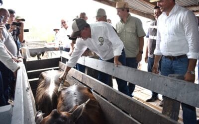Rural de Paraguay defiende la obligación de vacunar.