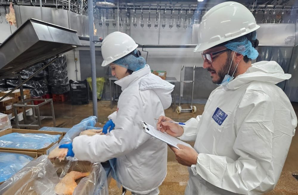 Avanza la primera auditoría de calidad de carne aviar uruguaya.