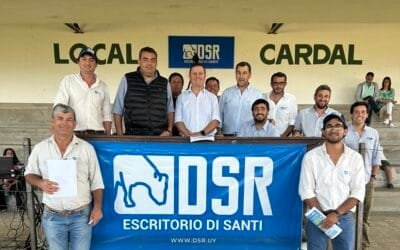 Di Santi vendió el 95% de la oferta.