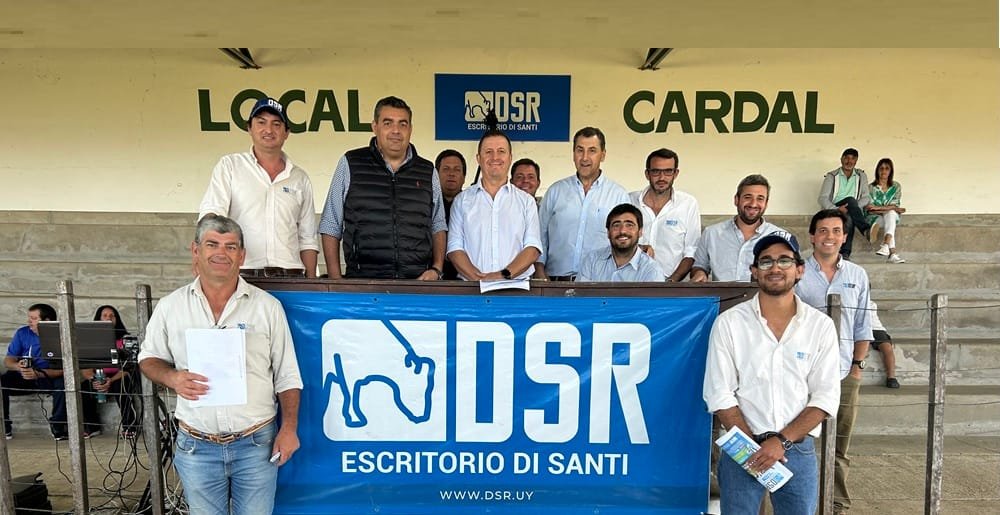 Di Santi vendió el 95% de la oferta.
