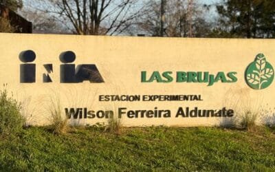 UTU e INIA trabajan para una tecnicatura de Biotecnología.