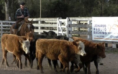 Leonardo Ruglio Bachino tuvo una pista ágil y con valores destacados para varias categorías.