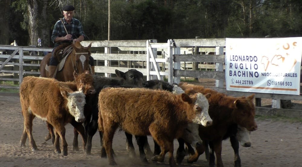 Leonardo Ruglio Bachino tuvo una pista ágil y con valores destacados para varias categorías.