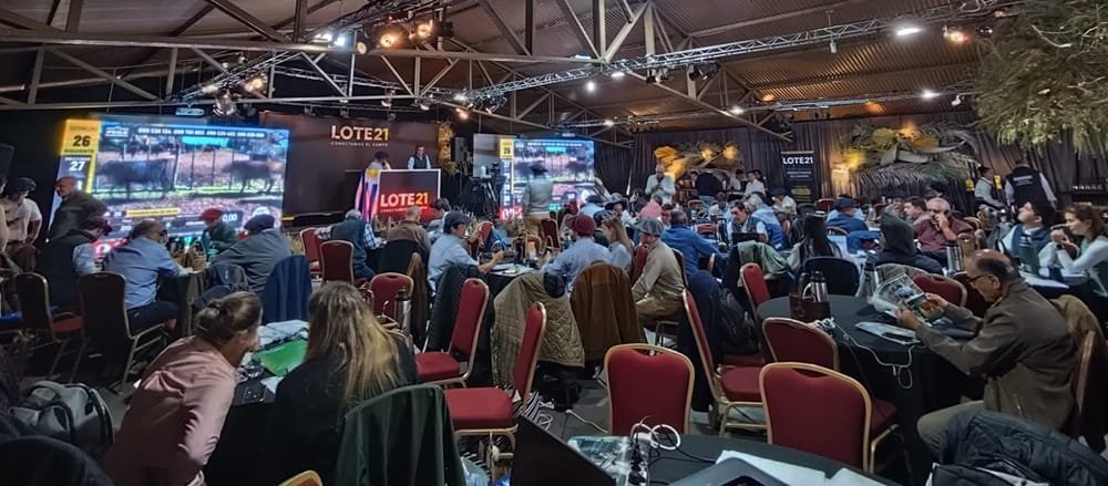 Luego de una exitosa primera jornada, Lote 21 continúa rematando hoy, desde las 09.00.