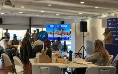 Pantalla Uruguay remató ayer y continua hoy desde las 09.00 horas.