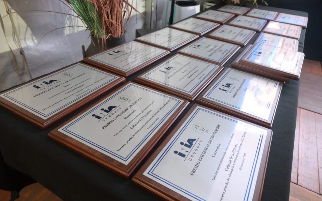 INIA y SUL premiaron el avance genético y la sostenibilidad de las cabañas ovinas del Uruguay.