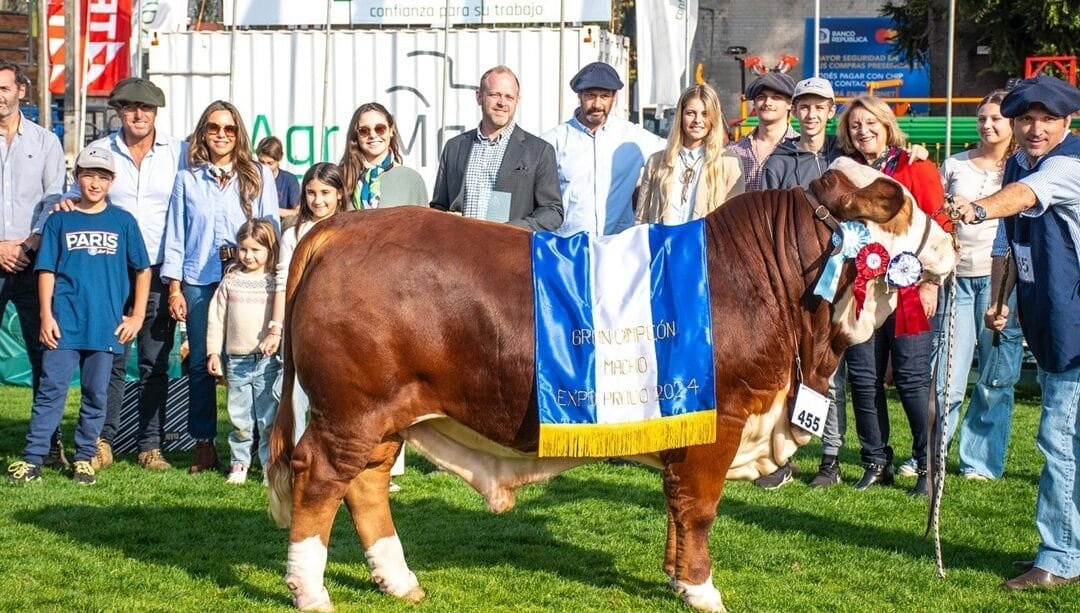 Braford invita a los amantes de la raza y de la ganadería a la Expo Prado 2025.